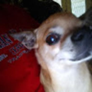 Meet your Posher, Javion marcel